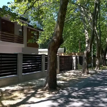 Luxury With Pool Holiday home Siofok